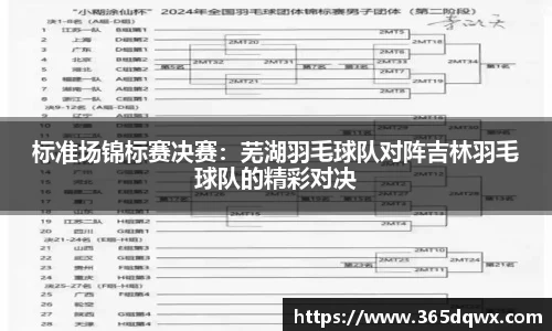 标准场锦标赛决赛：芜湖羽毛球队对阵吉林羽毛球队的精彩对决