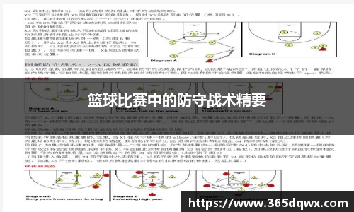 球速体育