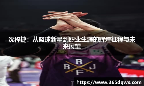 南宫NG·28